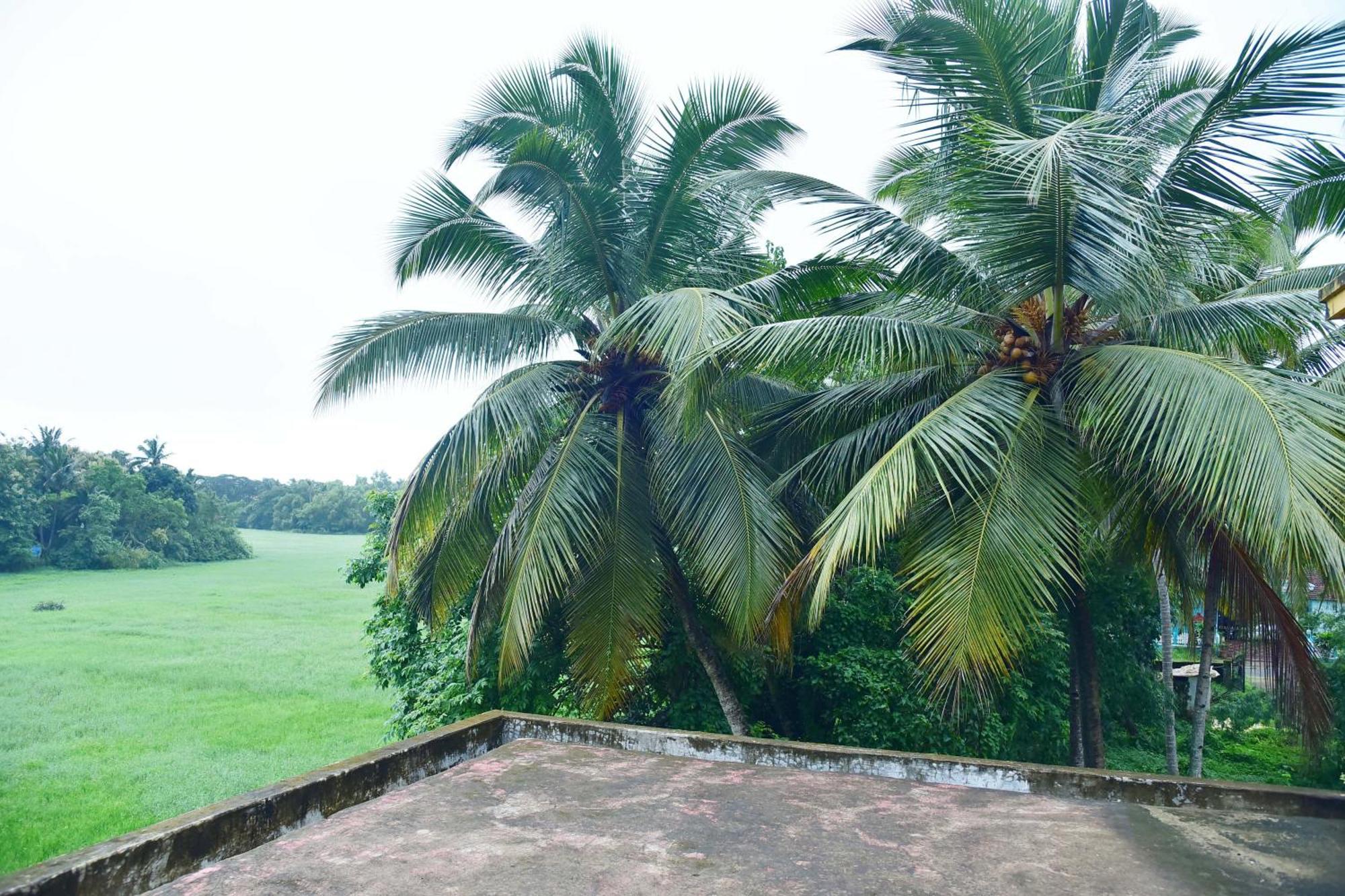 Field Stone -3 Bhk Duplex Villa Talaulim Exterior foto